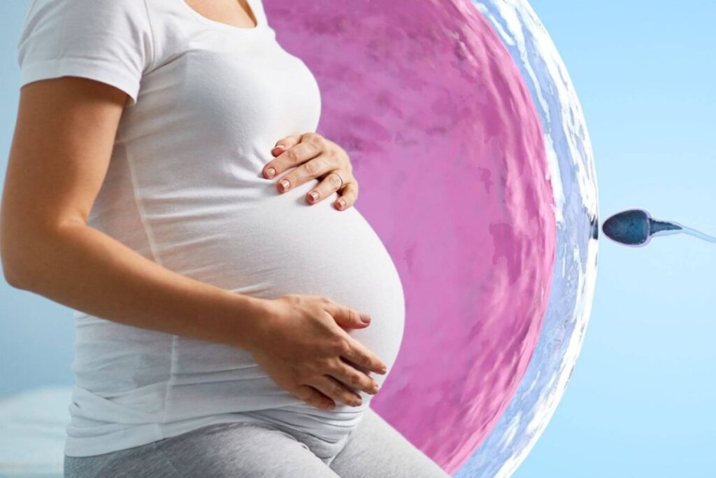 affordable-fertility-treatments-conceiva-india
