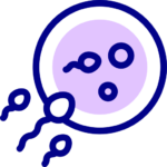 ICSI (Intracytoplasmic Sperm Injection)